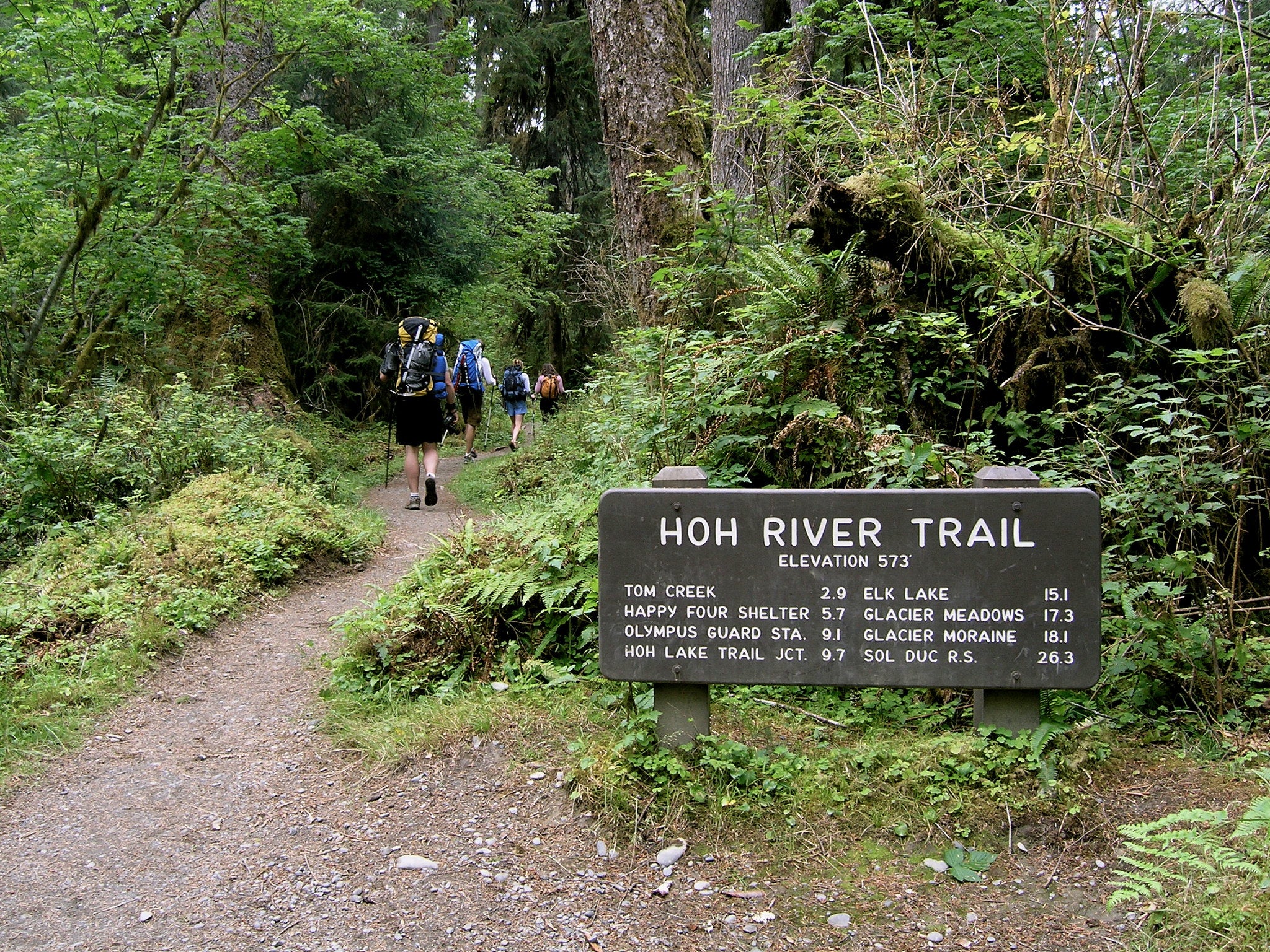 Hoh river trail to hotsell elk lake